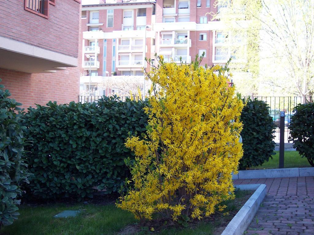 Bed & Breakfast Il Parco Parma